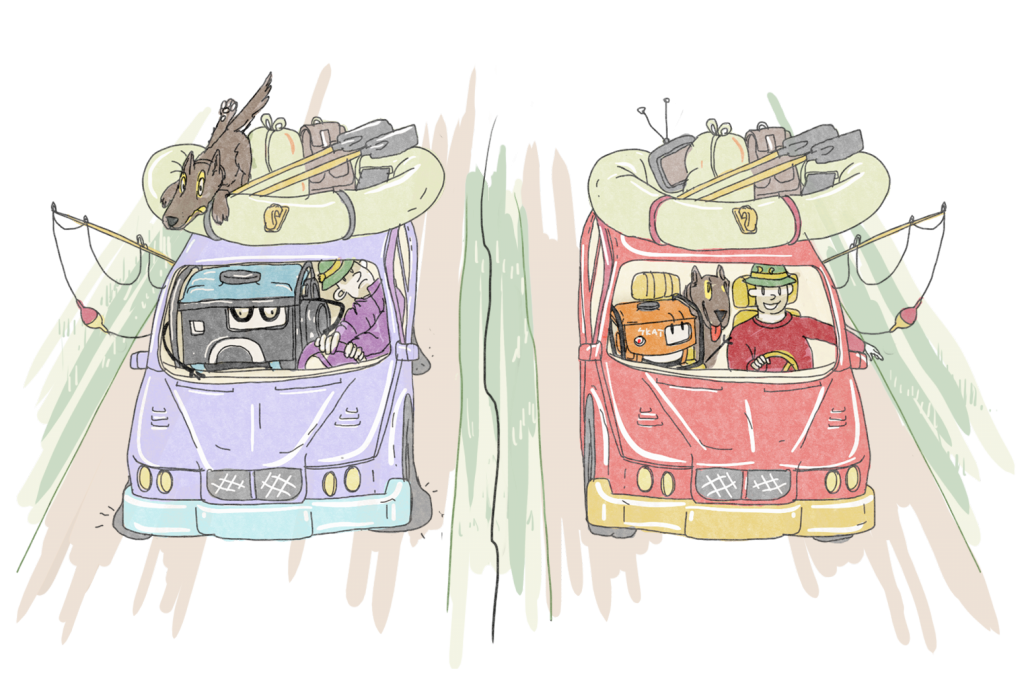 skat-9.6-1024x694.png